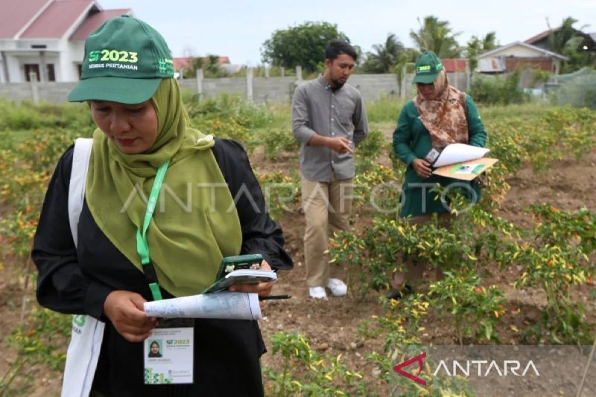 BPS: Pendataan Sensus Pertanian 2023 di Aceh sudah 93 persen