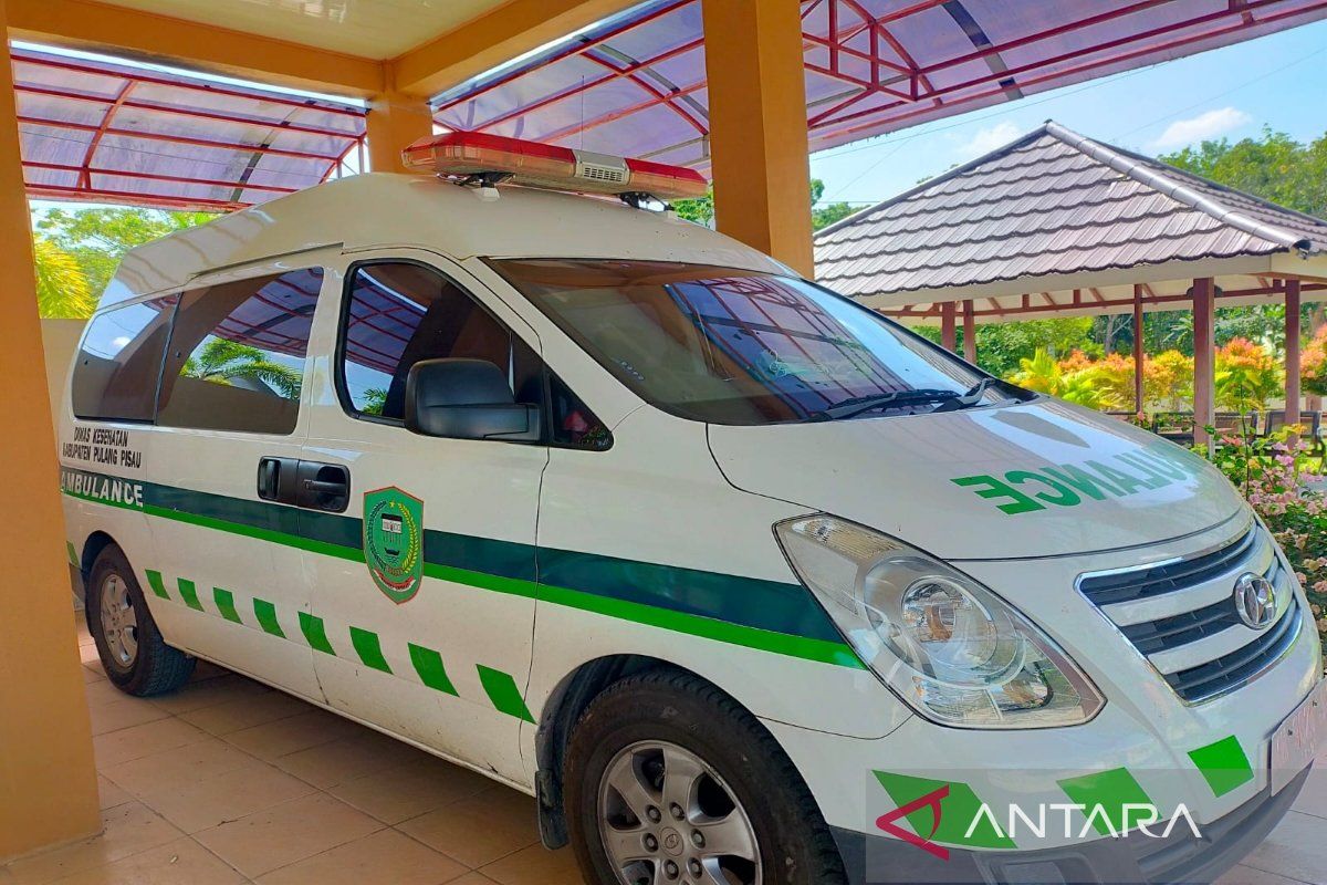 Dinas Kesehatan Pulang Pisau imbau pemerintah desa gunakan ambulans standar