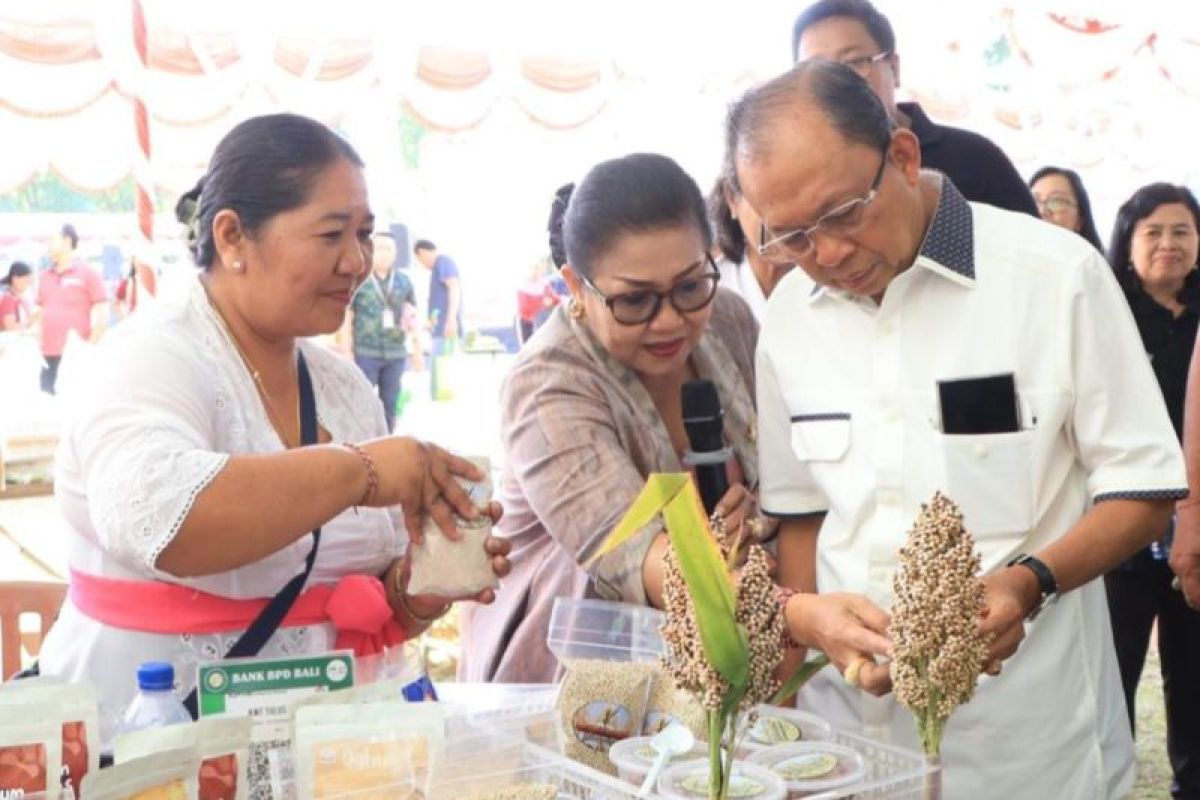 Pemprov Bali libatkan 90 UMKM dalam Pasar Gotong Royong