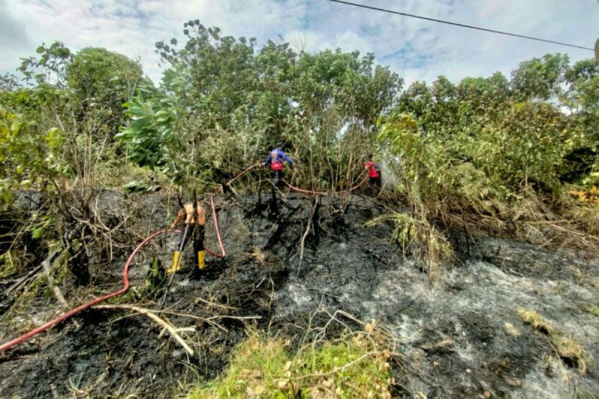 74 hotspots detected in East Kalimantan: BMKG