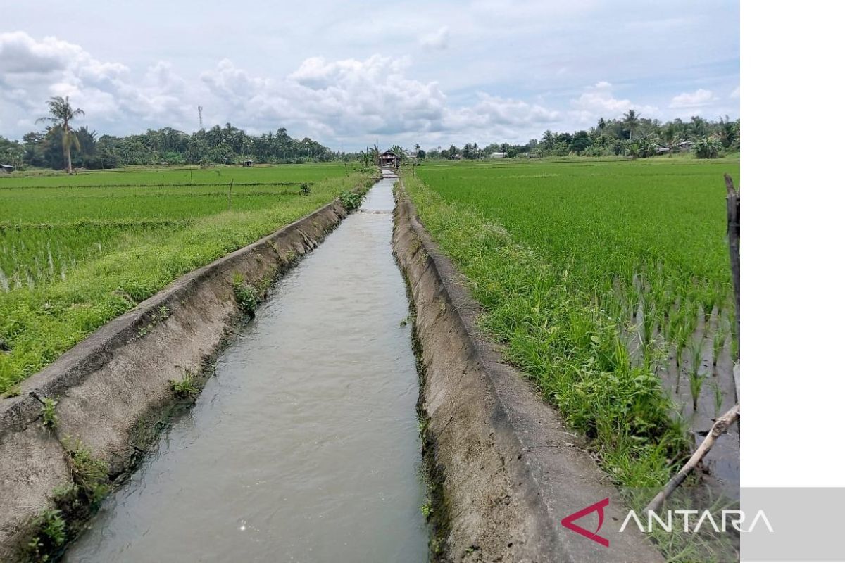 DKPP Belitung imbau petani perbaiki saluran irigasi hadapi El Nino
