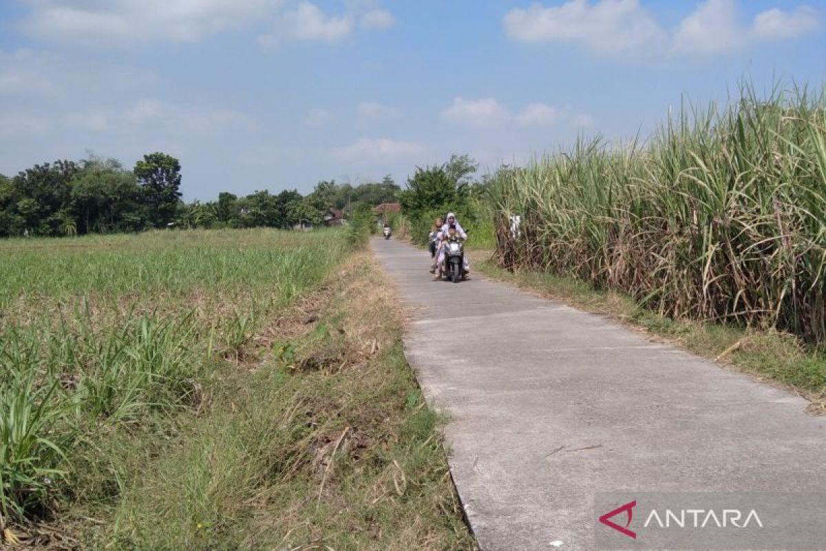 Pemkab Kudus tetapkan status siaga darurat bencana kekeringan