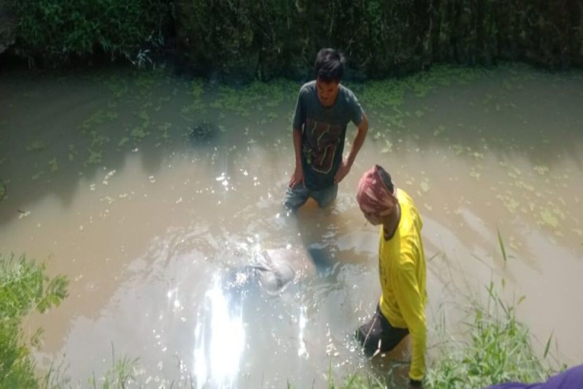 Warga Lampung Selatan temukan mayat pria di saluran irigasi