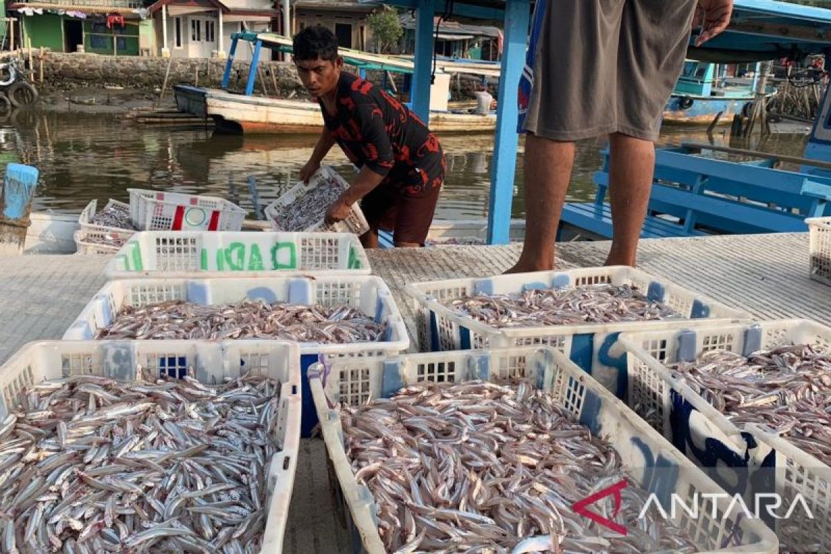 Tangkapan ikan sejumlah nelayan di Banten cenderung meningkat
