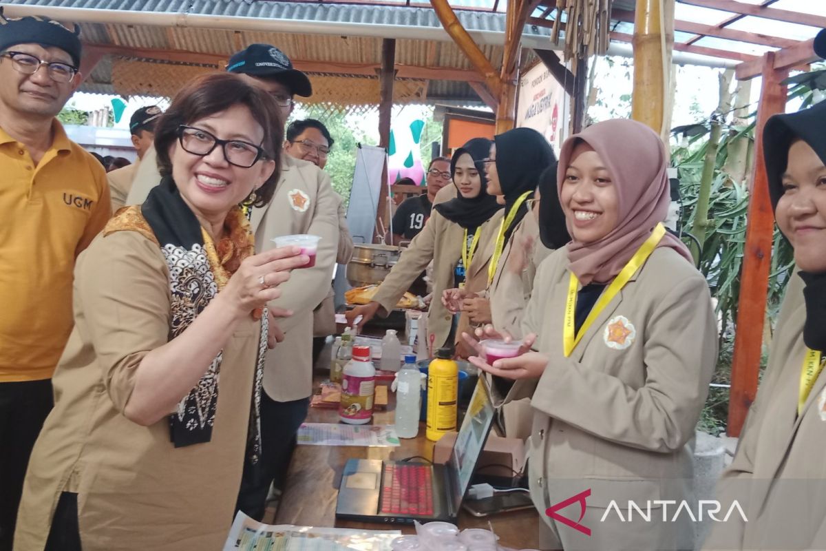 Mahasiswa UGM Yogyakarta bantu penganekaragaman olahan buah naga di Banyuwangi
