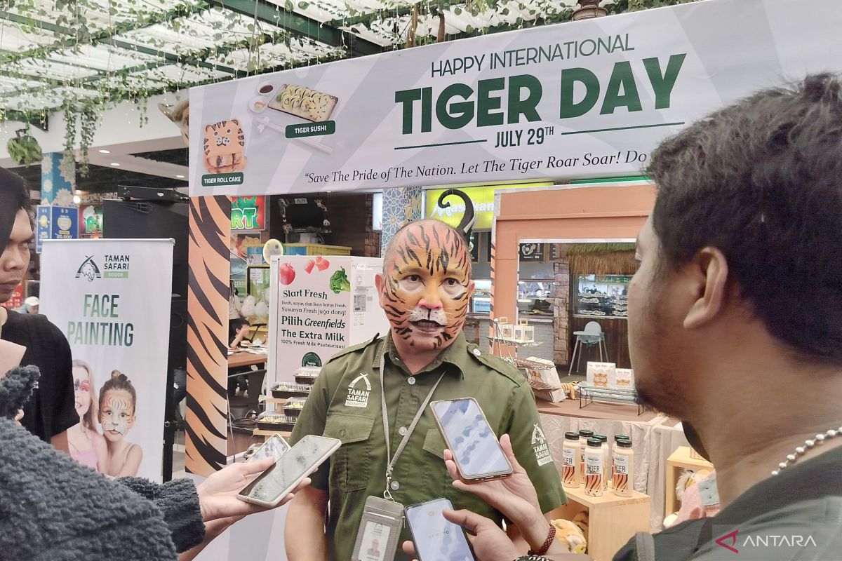 Taman Safari Indonesia semarakkan Tiger Day dengan lukis wajah bergaya harimau