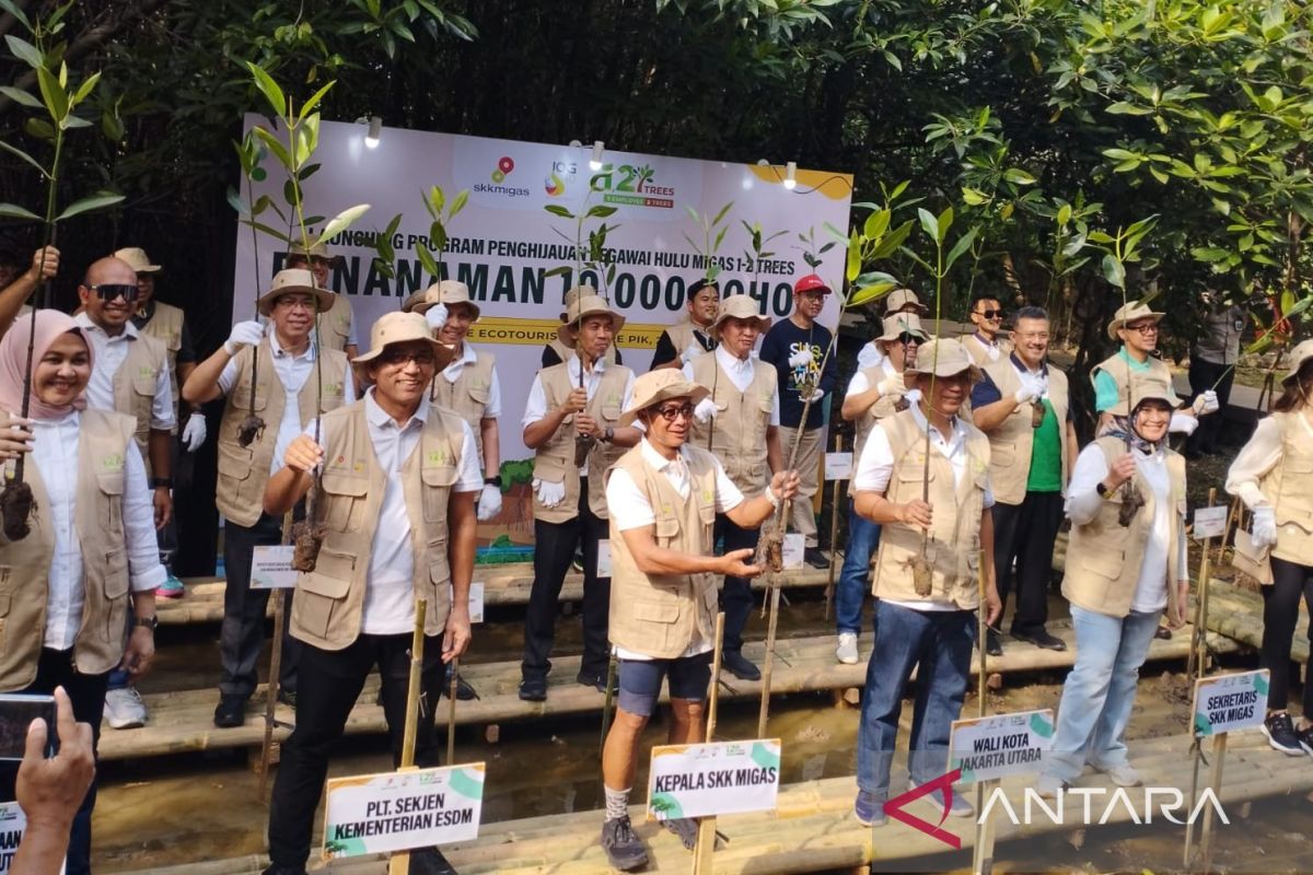 SKK Migas' One Two Trees program targets lowering carbon emissions