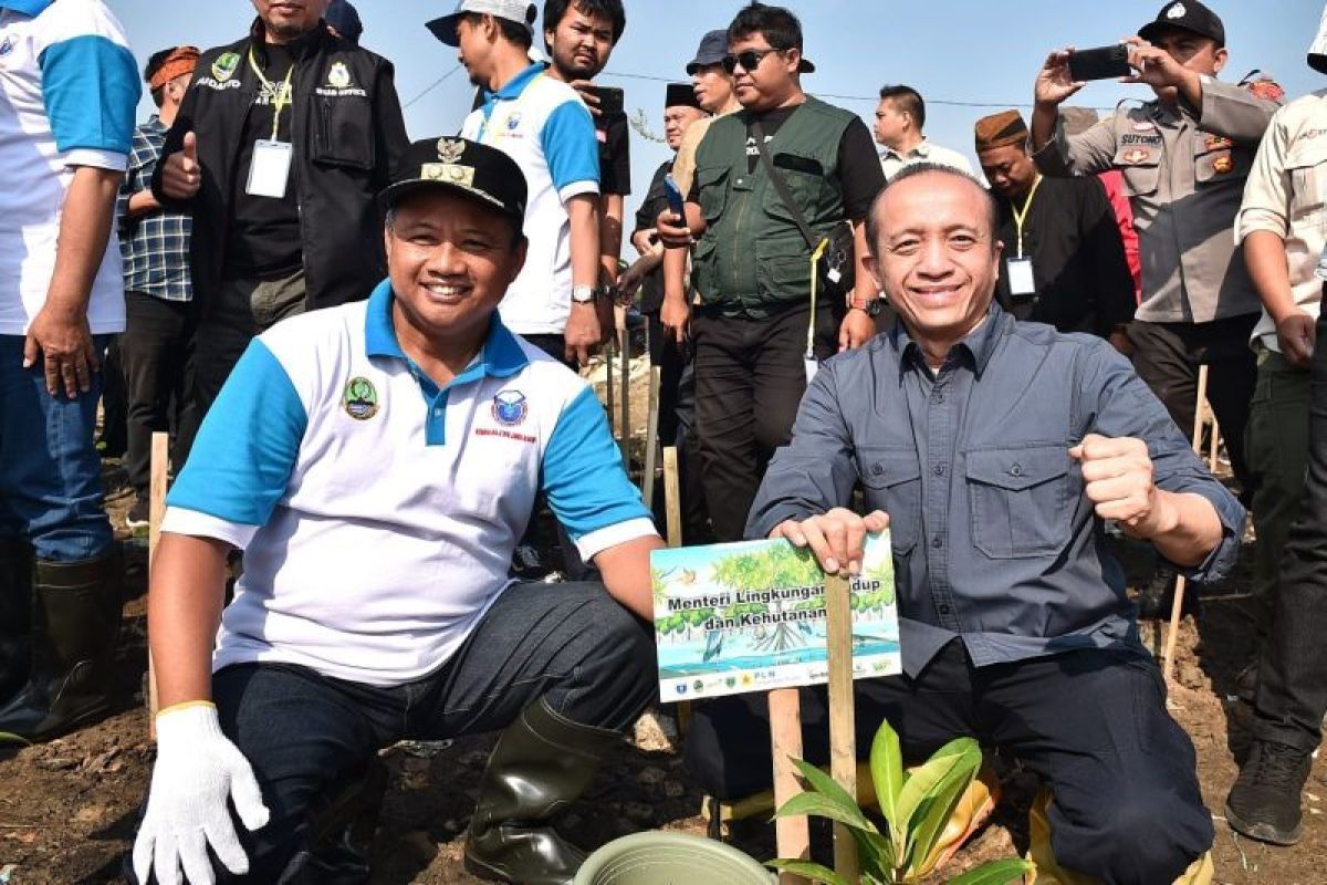 KLHK: Keterlibatan masyarakat kunci keberhasilan program rehabilitasi mangrove