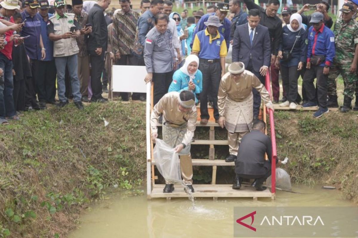 Gubernur Sumsel: Kabupaten OKU jadi percontohan budi daya ikan gabus