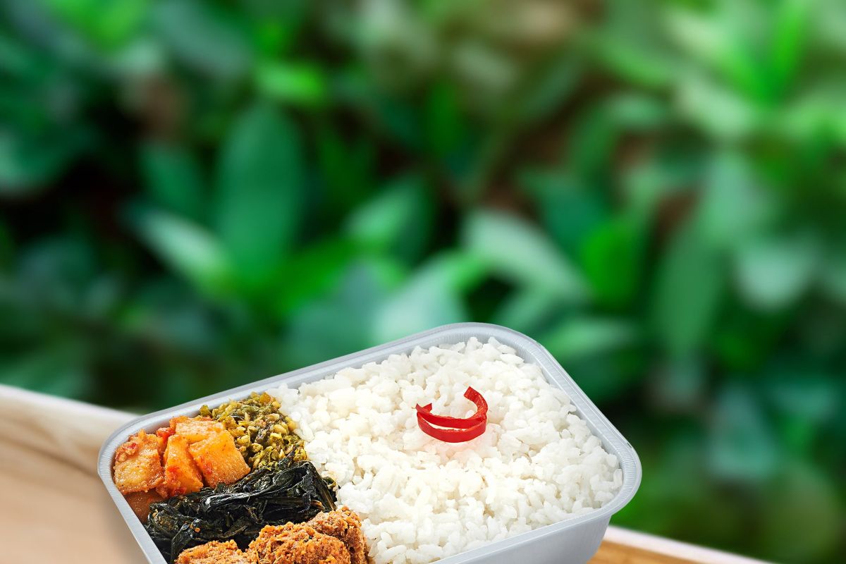 Green Rebel-AirAsia sajikan hidangan nabati di penerbangan regional
