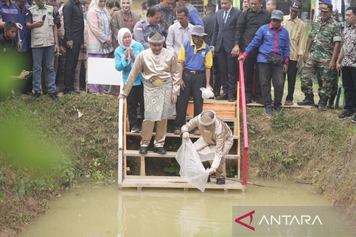 Bupati OKU : Budi daya ikan gabus tingkatkan  perekonomian masyarakat