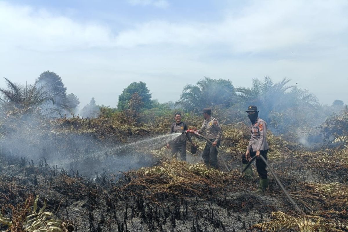 11 pembakar lahan di Rohil ditangkap