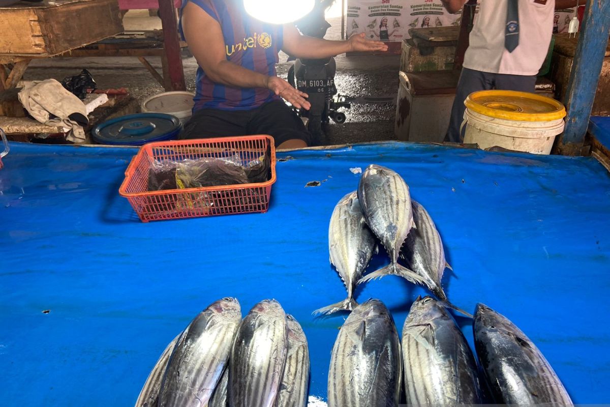 Harga ikan di Gorontalo Utara naik