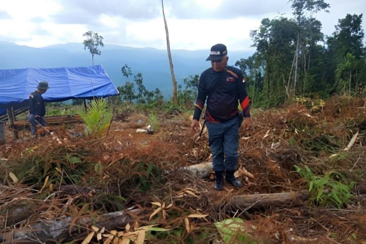 KLHK telah menetapkan status tersangka perambah hutan di Sulawesi Selatan