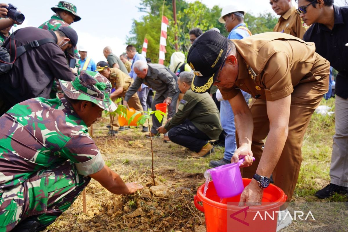 Pemprov Kaltim tanam pohon di lahan pasca tambang