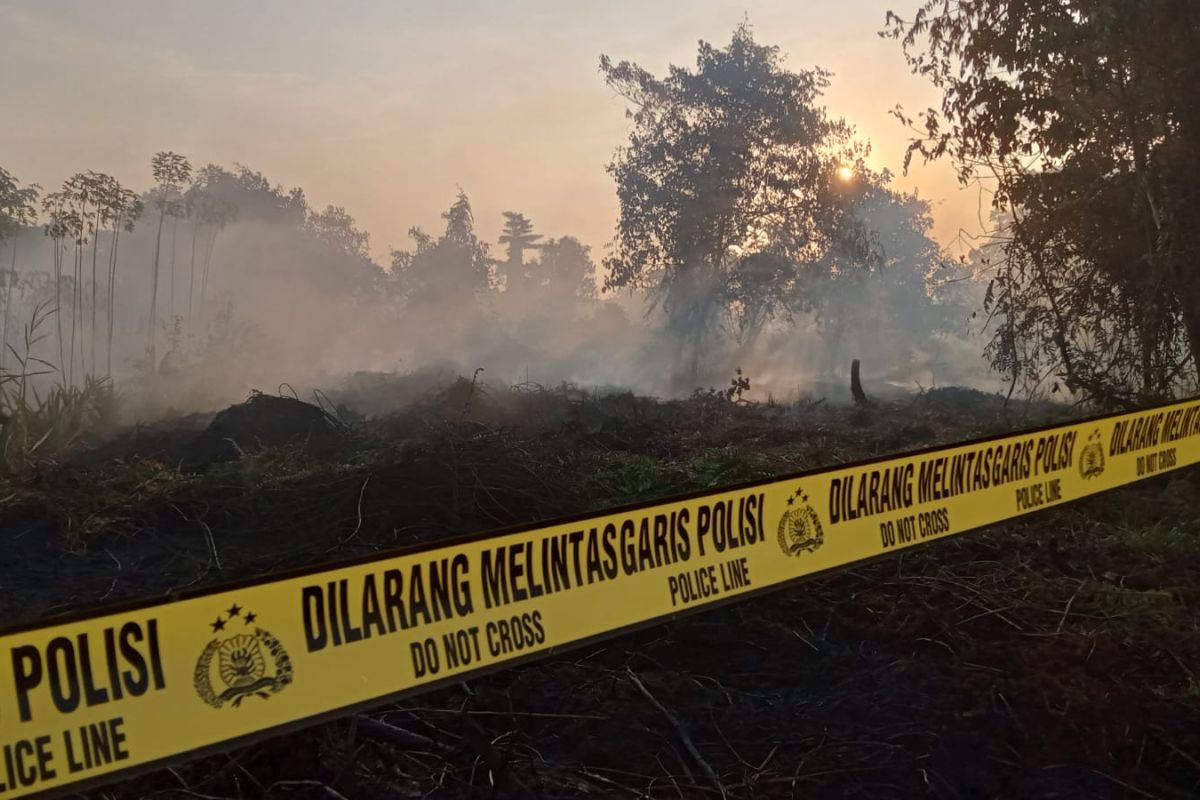 Polisi periksa tiga saksi terkait kebakaran lahan di Pekanbaru