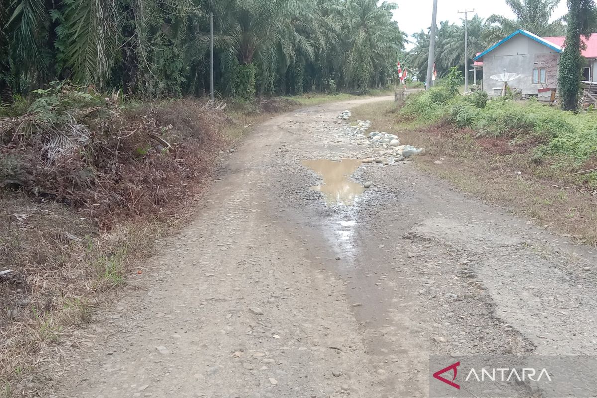 BPJN gunakan dana inpres bangun jalan di Mukomuko