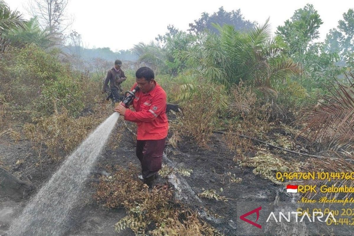 Kalaksa BPBD Provinsi Riau apresiasi bantuan pemadaman dari PT Arara Abadi