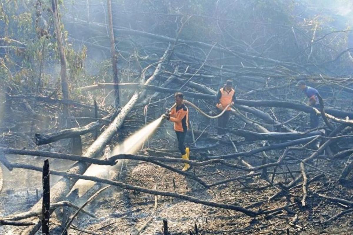 Pemkab Penajam Paser Utara berhasil cegah  meluasnya karhutla