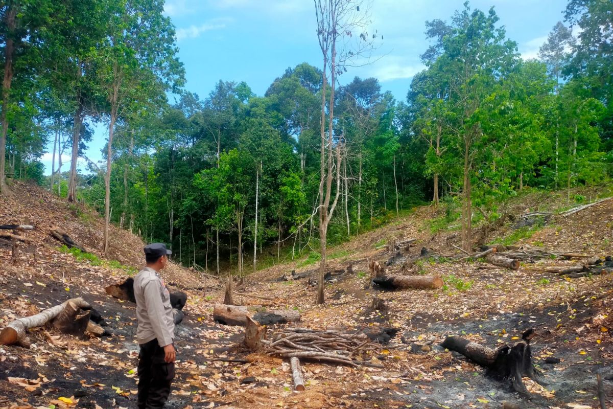 Tiga lokasi rawan karhutla di Kabupaten Pesisir Barat