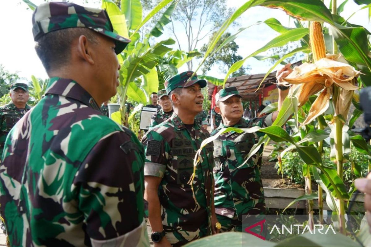Kodam Iskandar Muda tanami jagung di lahan seluas 3.000 Ha di Aceh