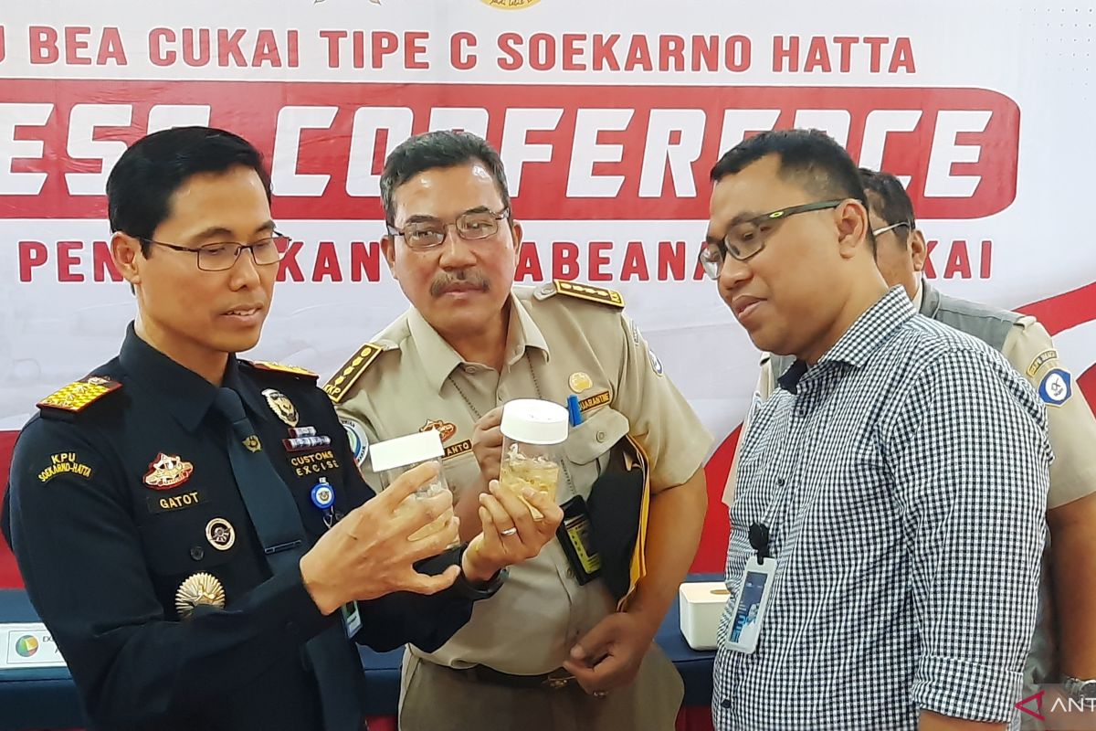 Bea Cukai Soetta Tangerang gagalkan upaya penyelundupan 34.222 ekor BBL