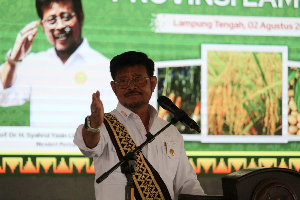 Mentan minta Lampung ikut berkontribusi penuhi pangan hadapi El Nino