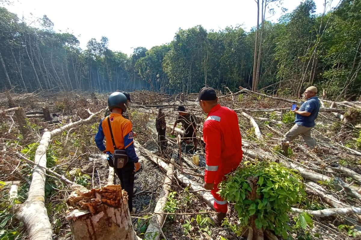 Hotspot di Kabupaten Tabalong  Capai 38 titik