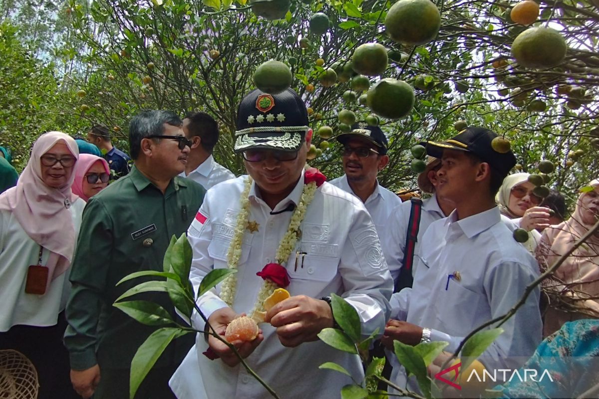 Wamentan tertarik jeruk Garut dijadikan suguhan di Istana Negara