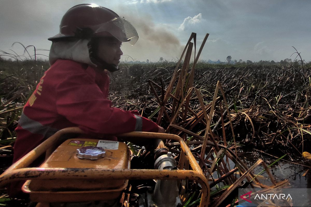 Akibat karhutla pemilik kawasan di Tapin bisa masuk penjara