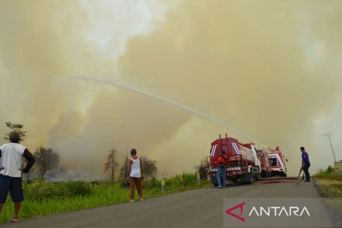 BPBD Kaltara siaga hadapi kebakaran hutan dan lahan