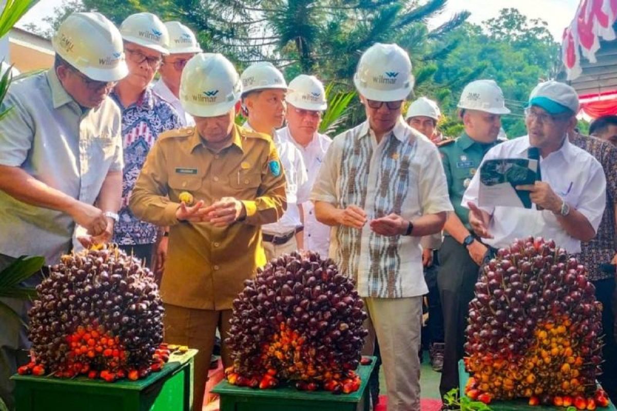 OJK sebut kemitraan mampu sejahterakan petani sawit