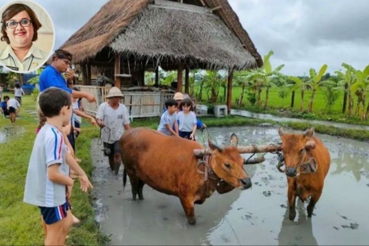 Pemkot Denpasar majukan potensi wisata Desa Kertalangu dan pulau Serangan