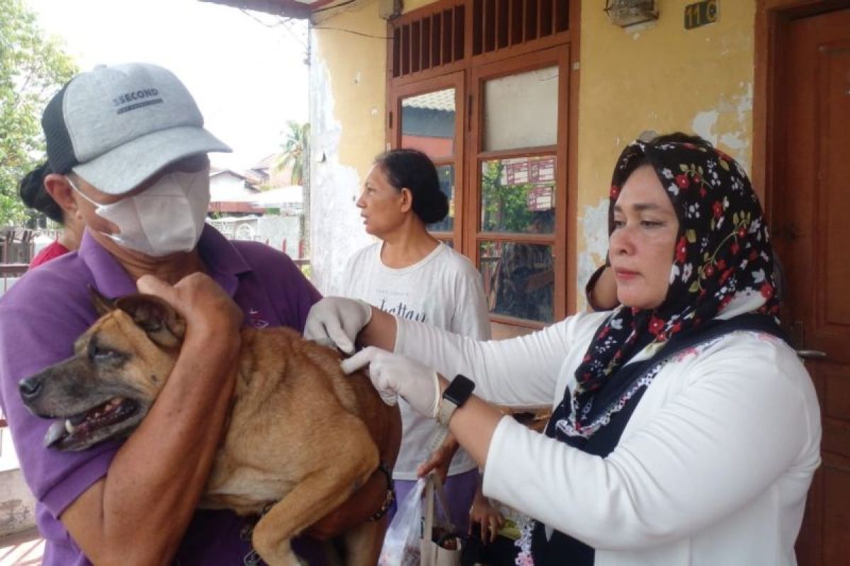 Ratusan hewan peliiharaan di Medan divaksin anti-rabies