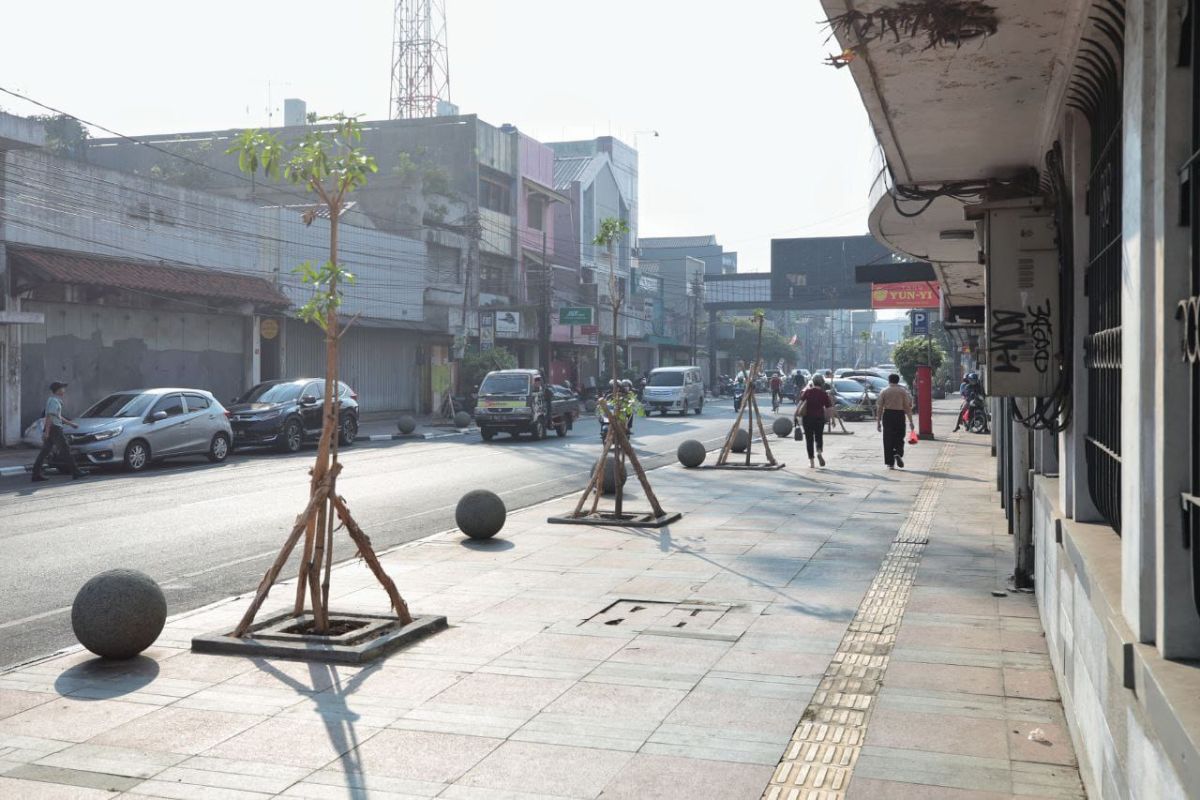 Kota Bandung tanam 100 pohon di Jalan Sudirman untuk peneduh