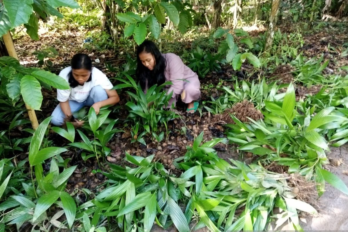 JBI OKU optimalkan ketahanan pangan berbasis DAS