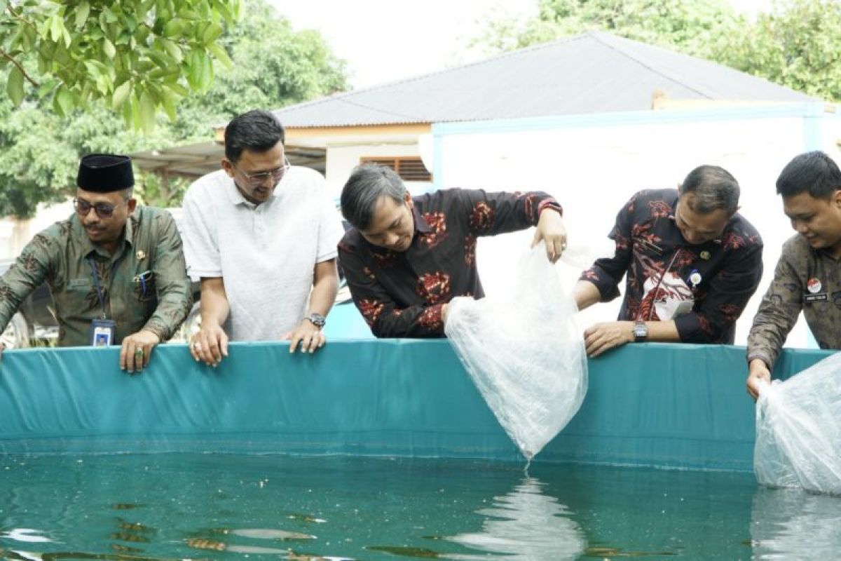 Ketua DPRD serahkan 40 ribu bibit ikan Lele ke Pokdakan