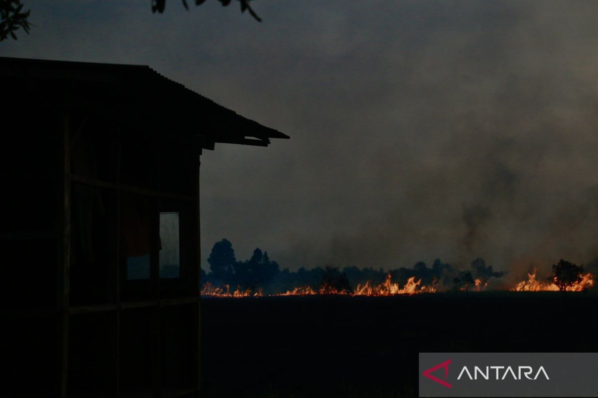 Karhutla nyaris lahap pondok pemilik lahan di Kota Banjarbaru