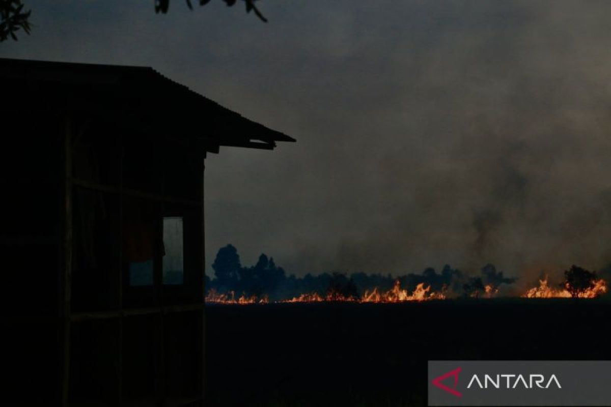 Karhutla nyaris lalap pondok pemilik lahan di Banjarbaru