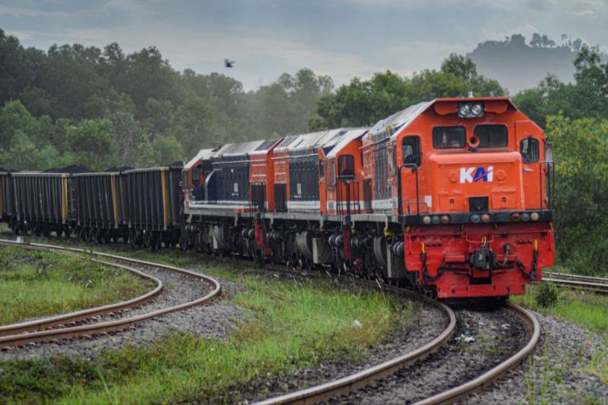 INDEF sebut Sumatera butuh kereta barang untuk naikkan daya saing