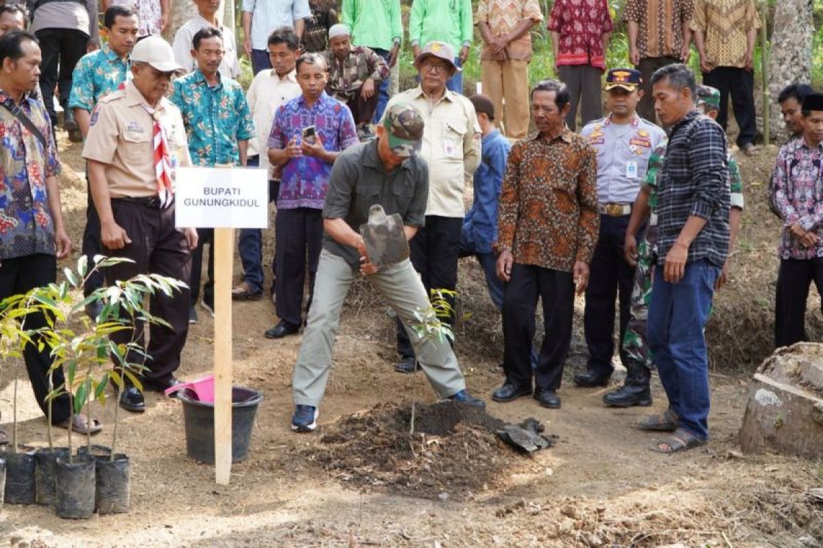 Pemkab Gunungkidul melakukan gerakan tanam 1.000 pohon durian