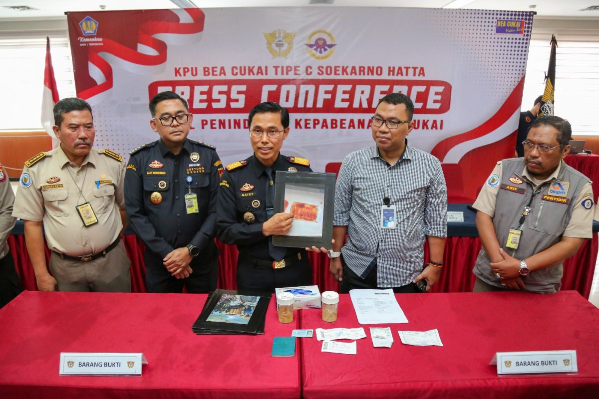 Bea Cukai, Angkasa Pura, dan BBKIPM Gagalkan Ekspor Ilegal Benih Lobster Senilai 5,3 Miliar Rupiah