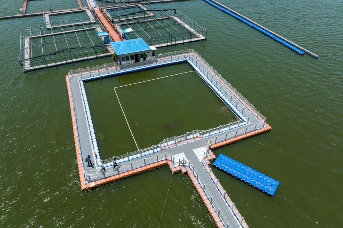 China akan percepat pengembangan marikultur laut dalam dan laut lepas