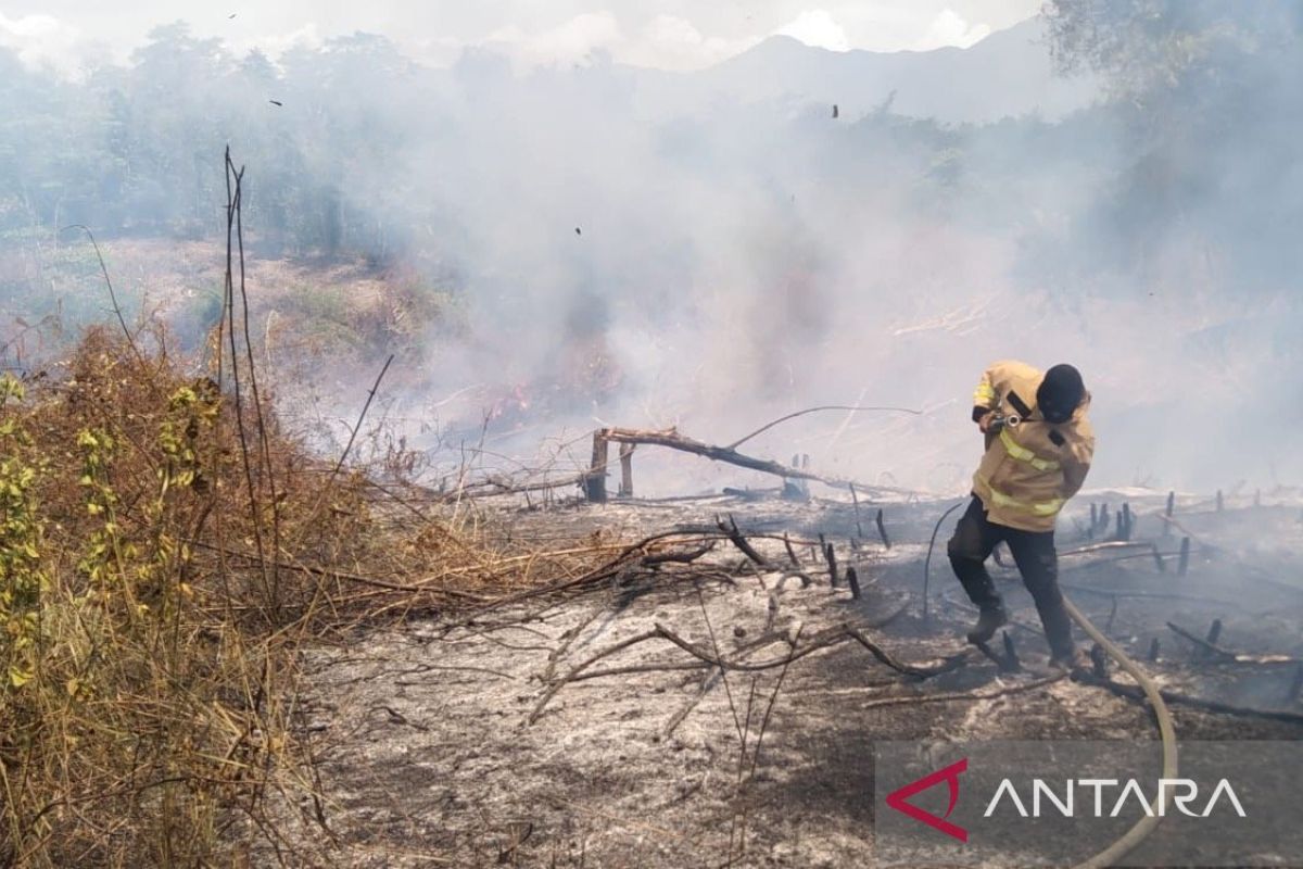 Delapan hektare lahan di Aceh Besar terbakar diduga sengaja dibakar