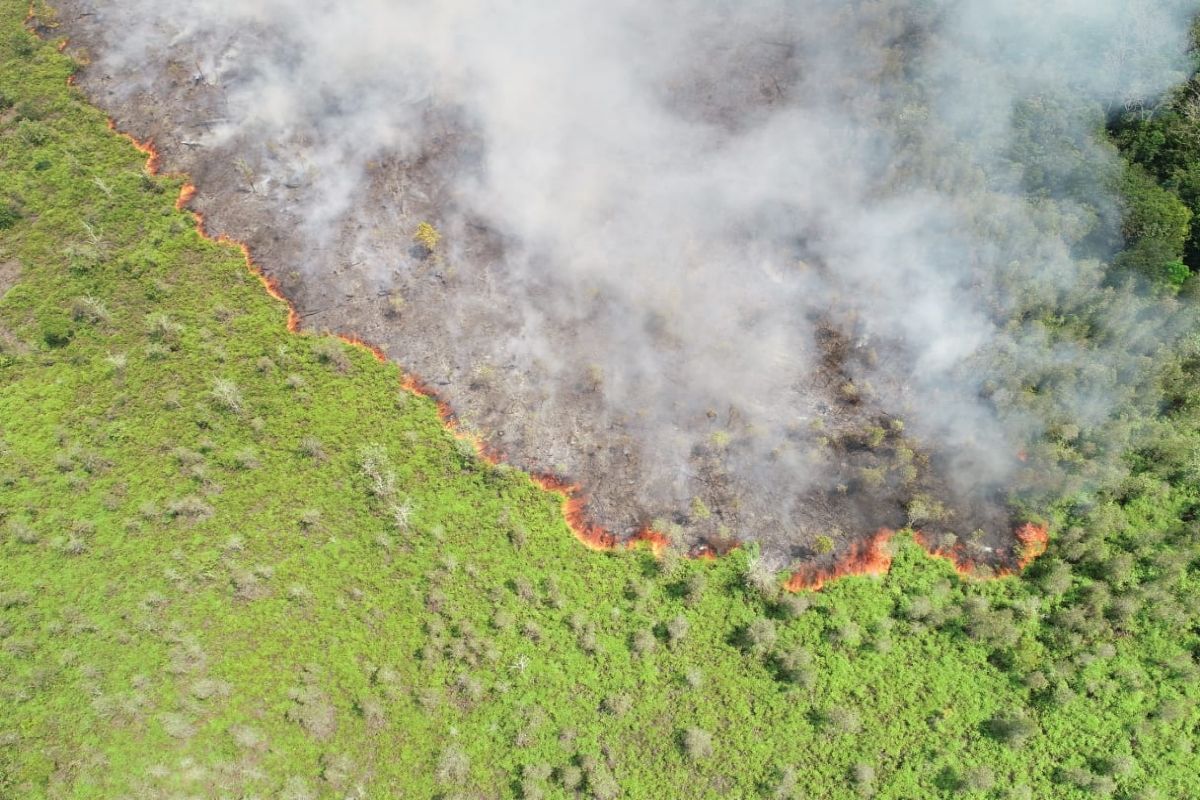 Kebakaran puluhan hektare lahan di Kotim perlu pemadaman melalui udara