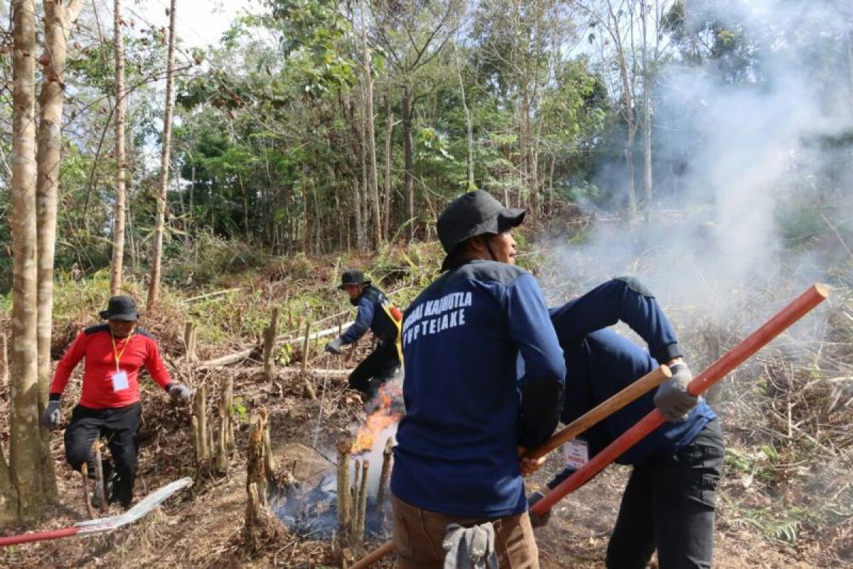 Pengelola hutan produksi Telake antisipasi ancaman kebakaran