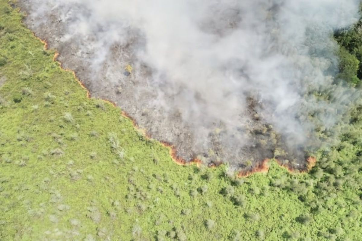 Kebakaran lahan di Kotawaringin Timur perlu pemadaman melalui udara agar tidak terus meluas