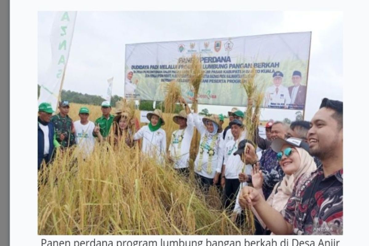 Village Ministry hold first harvest for blessed food barn program in Barito Kuala