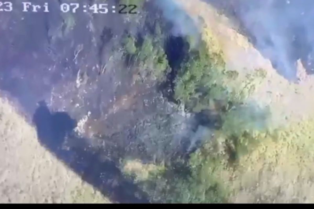 Kawasan hutan di TN Gunung Rinjani Lombok terbakar
