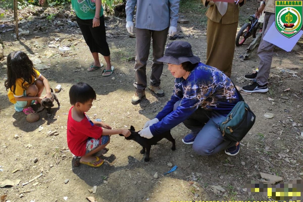 Pemkab Balangan vaksinasi hewan cegah penyakit rabies